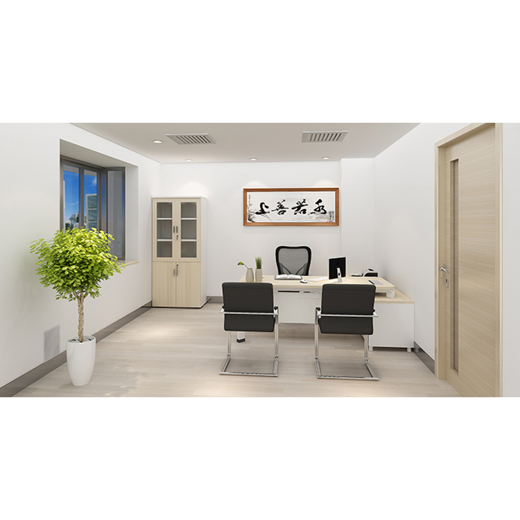 OFFICE OF THE DIRECTOR