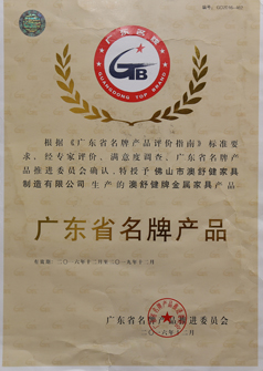  Guangdong province famous brand product